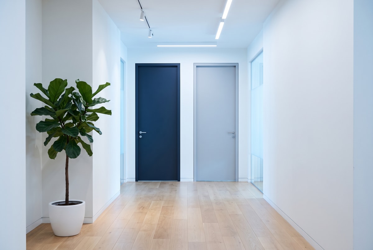 Dos puertas de oficina lado a lado, una azul y otra gris